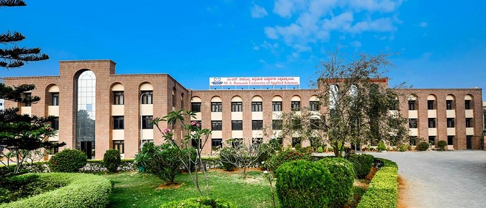 Ramaiah University Bangalore